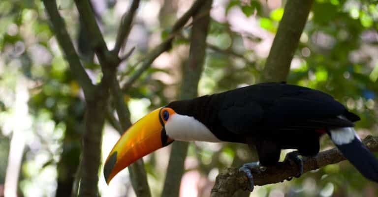 Amazon Prime Day 2025 : découvrez les offres exceptionnelles sur les équipements informatiques, les ordinateurs et le matériel au dernier jour !