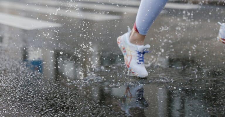 Comprendre la législation européenne sur les solutions SaaS : essentiels et implications