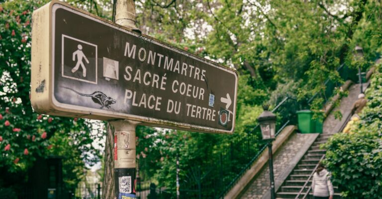 Les start-up françaises d&rsquo;IA : Entre santé et surprises, découvrez l&rsquo;innovation cachée