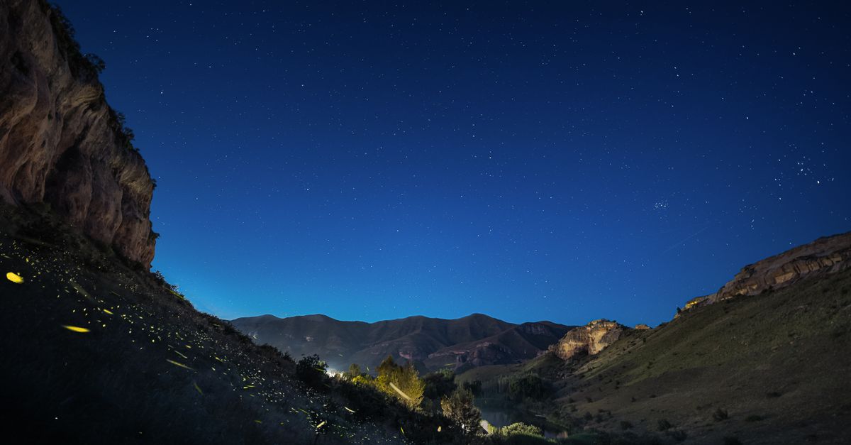 Adobe Firefly : découvrez la nouvelle application mobile maintenant accessible ! 1 découvrez adobe firefly, l'outil innovant d'intelligence artificielle créative pour générer des images, des effets et du contenu visuel en un clin d'œil.