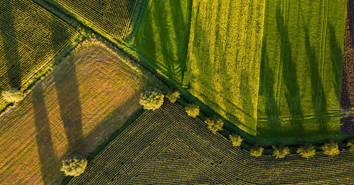 Stratégie agricole : dynamiser la production et renforcer l’appui aux agriculteurs vulnérables selon Genevard 1 découvrez des stratégies agricoles innovantes pour améliorer la productivité, la durabilité et la gestion des ressources dans le secteur agricole.