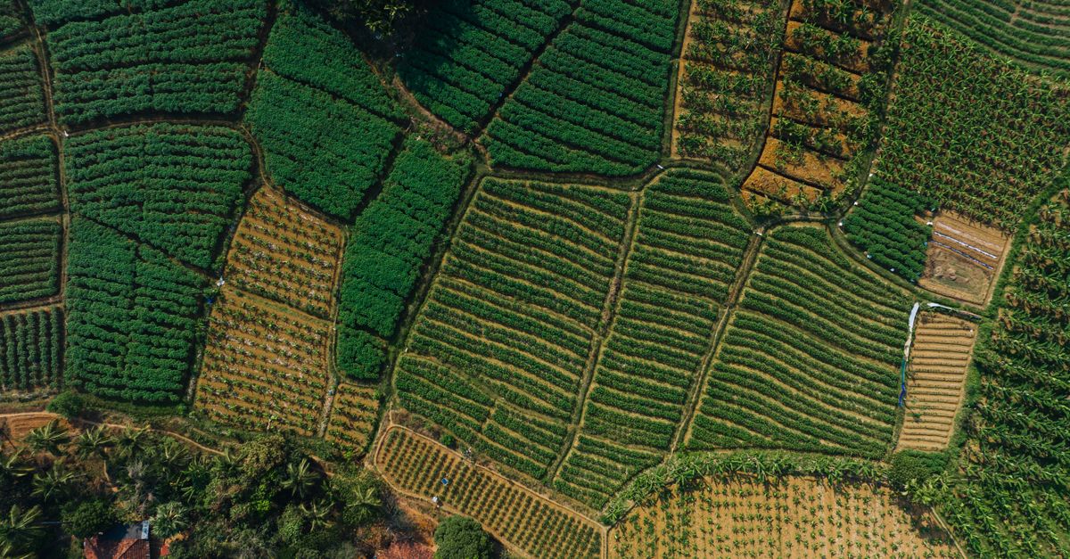 Stratégie agricole : dynamiser la production et renforcer l’appui aux agriculteurs vulnérables selon Genevard 2 découvrez des stratégies agricoles innovantes pour optimiser la production, gérer durablement les ressources et assurer la sécurité alimentaire.