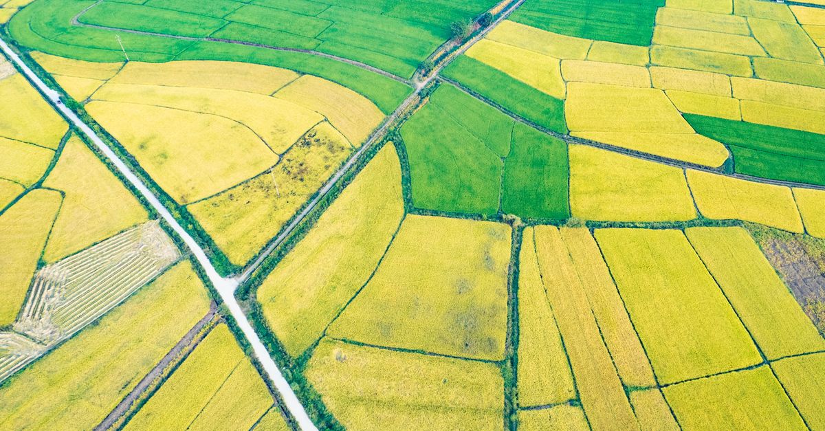 Stratégie agricole : dynamiser la production et renforcer l’appui aux agriculteurs vulnérables selon Genevard 3 découvrez les meilleures stratégies agricoles pour optimiser la production, gérer durablement les ressources et assurer la rentabilité de votre exploitation.