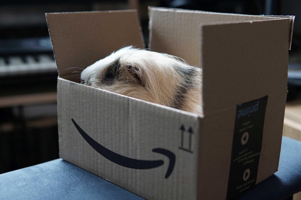 Prime Video : Amazon s'engage enfin à améliorer son service de streaming 1 découvrez amazon prime video, la plateforme de streaming qui offre des milliers de films, séries et exclusivités pour tous les goûts. profitez d'un visionnage en qualité hd et de nouveautés régulièrement ajoutées.