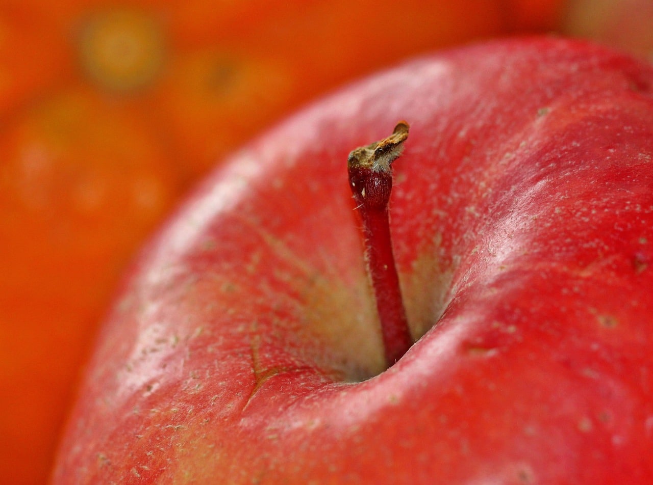 Apple revoit à la hausse les prix de ses abonnements de streaming : ce que cela change pour les abonnés 10 découvrez l'augmentation des prix des abonnements apple streaming et ses impacts sur votre expérience de divertissement.