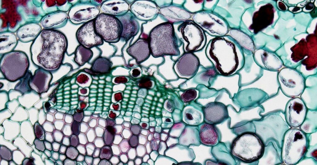 Qu'est-ce que la bioinformatique et pourquoi est-elle essentielle en recherche? 5 explorez le domaine de la bioinformatique, alliant biologie et informatique pour analyser les données biologiques et accélérer la recherche scientifique.