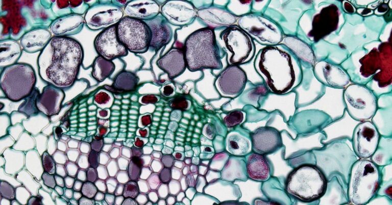 Qu&rsquo;est-ce que la bioinformatique et pourquoi est-elle essentielle en recherche?