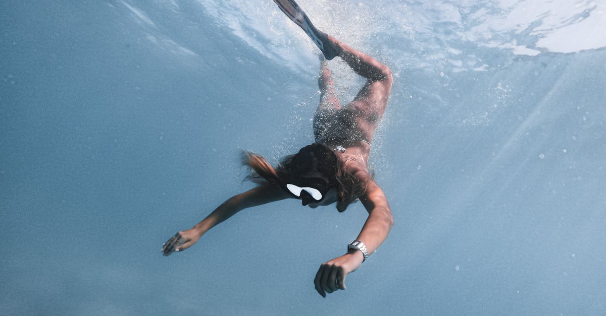 Plongée au cœur du Blog de Salvatore Palidda | La Tribune de Mediapart 1 découvrez l'univers passionnant de la plongée sous-marine : conseils, techniques, équipements et destinations incontournables pour les amateurs et professionnels.