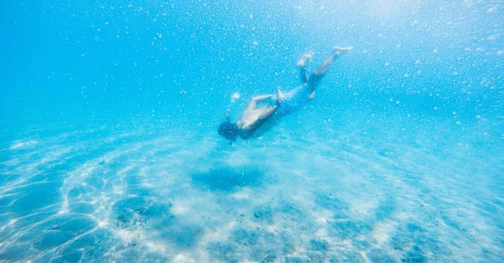 Plongée au cœur du Blog de Salvatore Palidda | La Tribune de Mediapart 8 explorez le monde sous-marin avec notre guide complet de la plongée. découvrez les techniques, équipements et meilleurs spots pour vivre une expérience inoubliable en immersion.