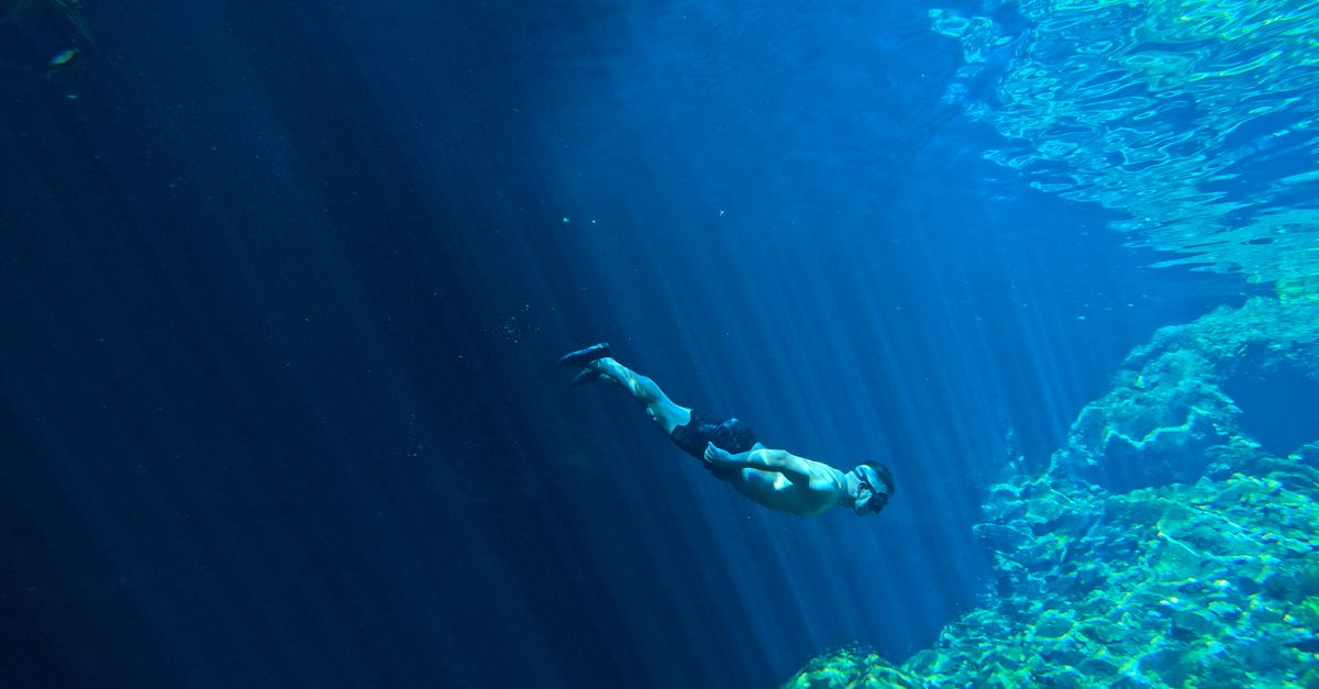 Plongée au cœur du Blog de Salvatore Palidda | La Tribune de Mediapart 2 découvrez l'univers passionnant de la plongée sous-marine : techniques, équipements, sites incontournables et conseils pour explorer les fonds marins en toute sécurité.