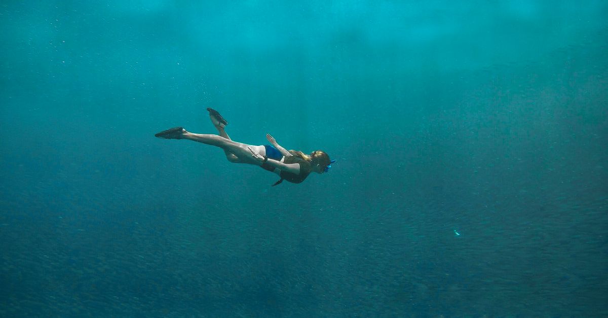 Plongée au cœur du Blog de Salvatore Palidda | La Tribune de Mediapart 3 découvrez les merveilles de la plongée sous-marine : explorez les fonds marins, admirez la faune aquatique et vivez une aventure inoubliable sous l'eau.