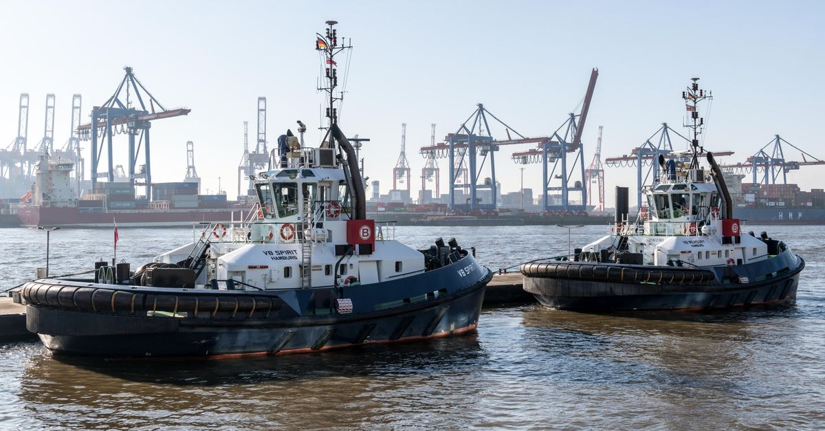 Des dockers de la CGT à Fos-sur-Mer bloquent l'acheminement de conteneurs de matériel militaire vers Israël 2 découvrez les dernières actualités et impacts de la grève des dockers, avec analyses et informations clés sur les perturbations du secteur maritime.