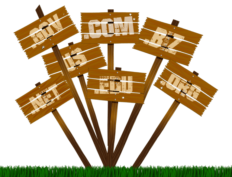 Faut-il opter pour un domaine en « .com » ou en « .fr » ?