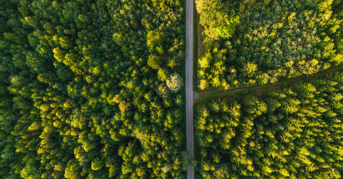 Taxe écologique : vers une contribution de 2 centimes par kilomètre pour les véhicules électriques ? Analyse du modèle proposé 9 découvrez tout sur la taxe écologique, ses objectifs, ses impacts environnementaux et comment elle contribue à la protection de la planète.