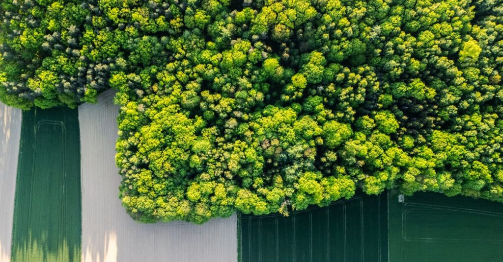 Taxe écologique : vers une contribution de 2 centimes par kilomètre pour les véhicules électriques ? Analyse du modèle proposé 8 découvrez tout sur la taxe écologique, ses impacts environnementaux et économiques, ainsi que les avantages pour une planète plus verte.