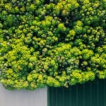 Taxe écologique : vers une contribution de 2 centimes par kilomètre pour les véhicules électriques ? Analyse du modèle proposé
