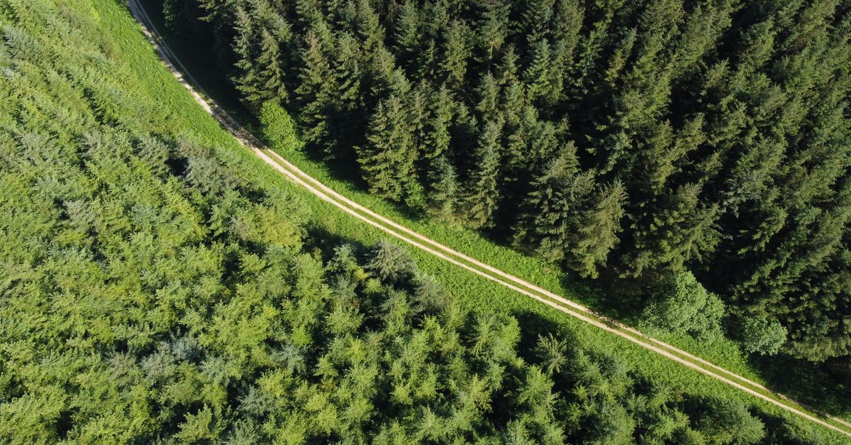 Taxe écologique : vers une contribution de 2 centimes par kilomètre pour les véhicules électriques ? Analyse du modèle proposé 11 découvrez tout sur la taxe écologique : son importance, son impact environnemental et comment elle encourage des pratiques durables pour protéger notre planète.