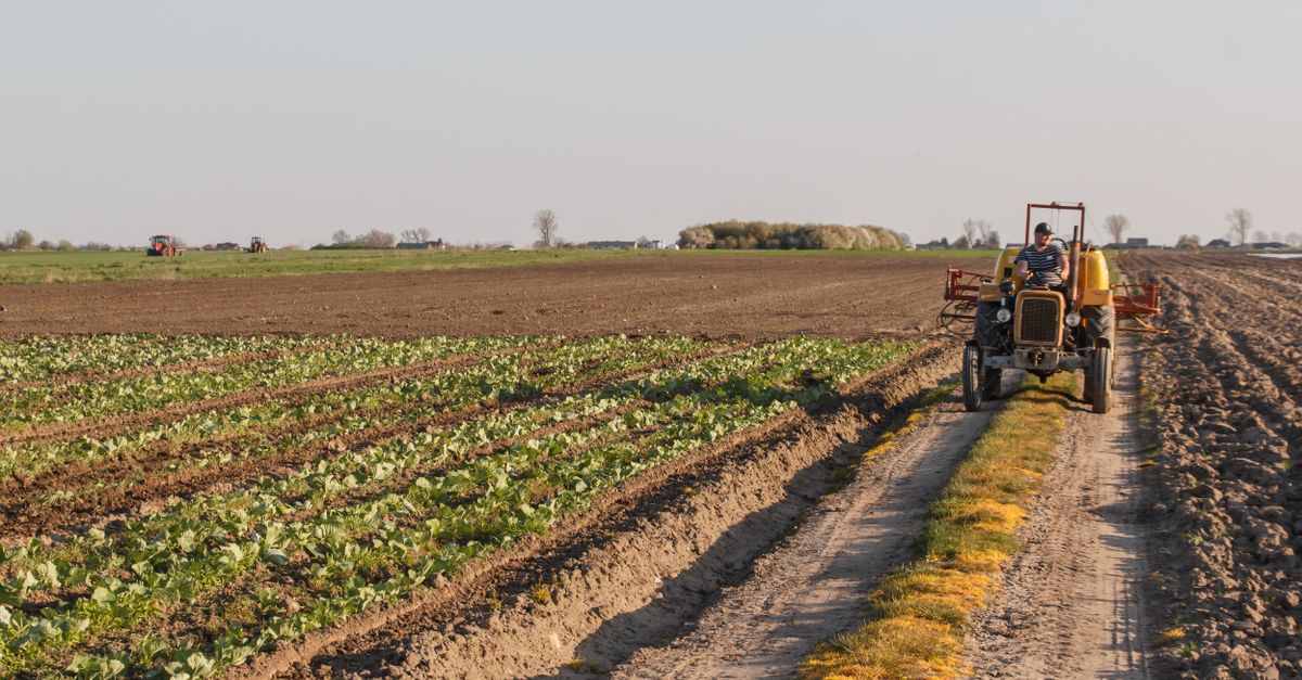 découvrez 7 raisons convaincantes d'opter pour Hello Harel, le logiciel ERP innovant en SaaS dédié à l'agroalimentaire 2 découvrez notre logiciel erp conçu spécialement pour le secteur agroalimentaire, optimisant la gestion de la production, des stocks et de la traçabilité pour une performance accrue.