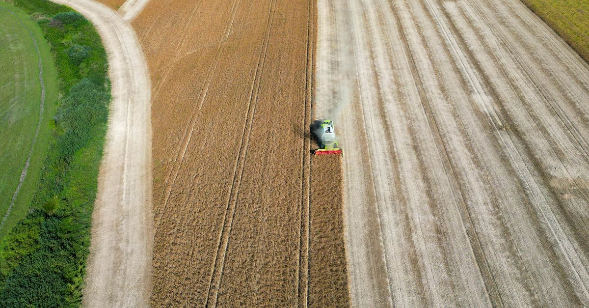 découvrez 7 raisons convaincantes d'opter pour Hello Harel, le logiciel ERP innovant en SaaS dédié à l'agroalimentaire 3 découvrez notre logiciel erp conçu spécialement pour l'agroalimentaire, optimisant la gestion de la production, des stocks et de la qualité pour une efficacité maximale.