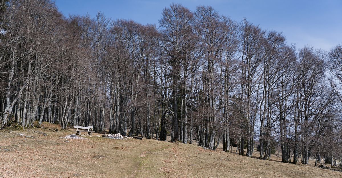 Football National 2 : Jura Dolois débute sa saison sur une victoire mince mais précieuse 1 découvrez le jura dolois, une région naturelle aux paysages préservés, idéale pour les amateurs de randonnée, d'histoire et de nature authentique.