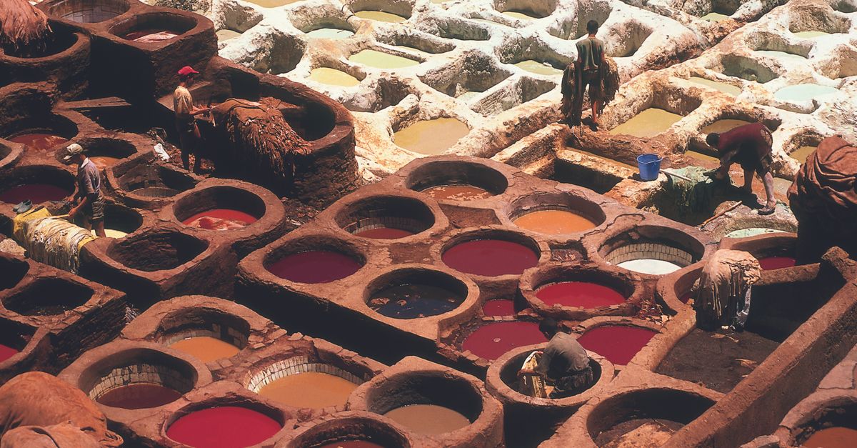 Maroc–Inde : un partenariat économique en pleine expansion, de 4 à 8 milliards de dollars à l'horizon 4 découvrez le partenariat économique entre le maroc et l'inde, mettant en lumière les échanges commerciaux, les investissements bilatéraux et les opportunités de collaboration entre les deux pays.