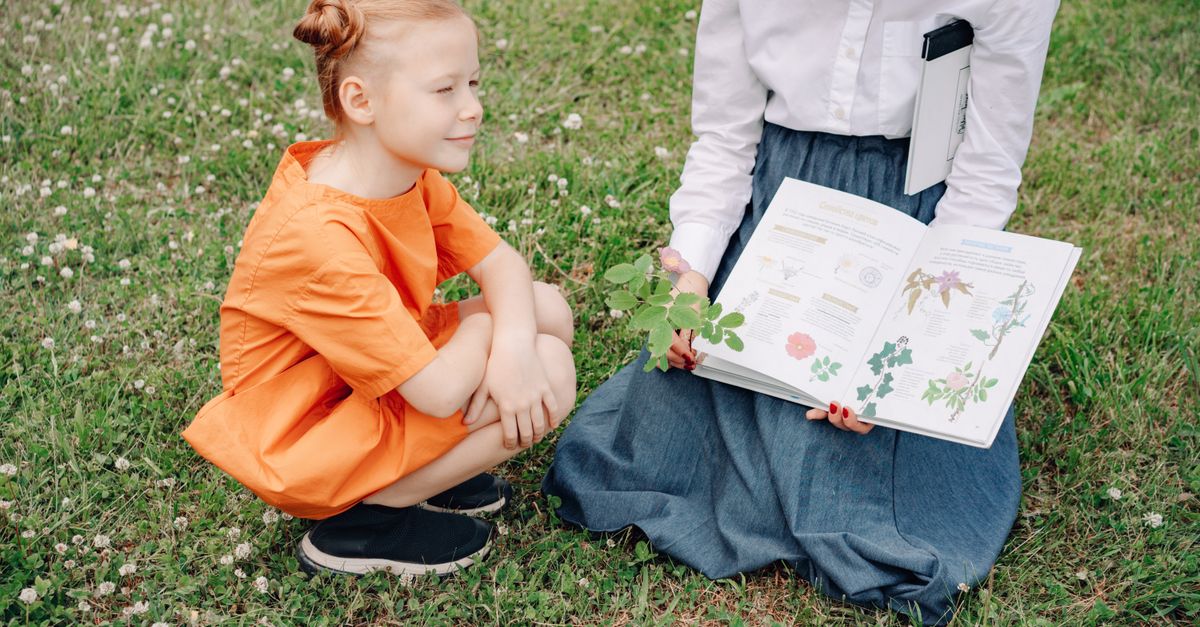 Lyon : 300 élèves de l’école Audrey-Hepburn découvrent sentiers, buttes et gradins en plein air pour leurs nouvelles aventures scolaires 2 découvrez l'apprentissage en plein air : une méthode éducative innovante qui stimule la curiosité et favorise le développement des compétences grâce à l'exploration de la nature.