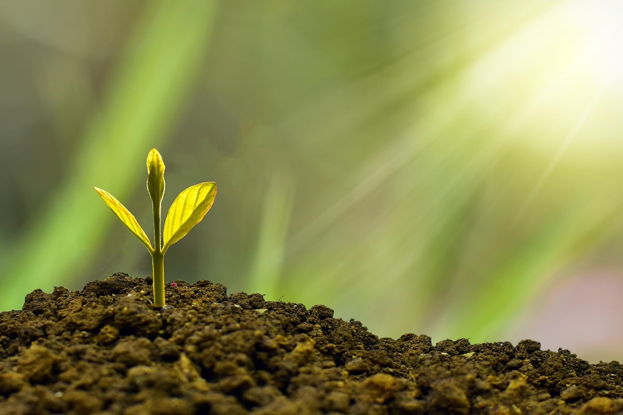 EXCLUSIF : Puck en discussions avancées pour un investissement stratégique de RedBird Capital Partners 2 découvrez comment optimiser vos gains grâce à des investissements stratégiques soigneusement planifiés pour assurer la croissance et la sécurité financière de votre portefeuille.
