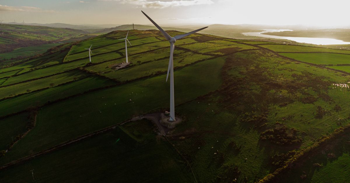Terre.tv : La nouvelle Web TV entièrement dédiée au développement durable 1 découvrez les principes du développement durable pour préserver l'environnement, promouvoir l'équité sociale et assurer une croissance économique responsable.