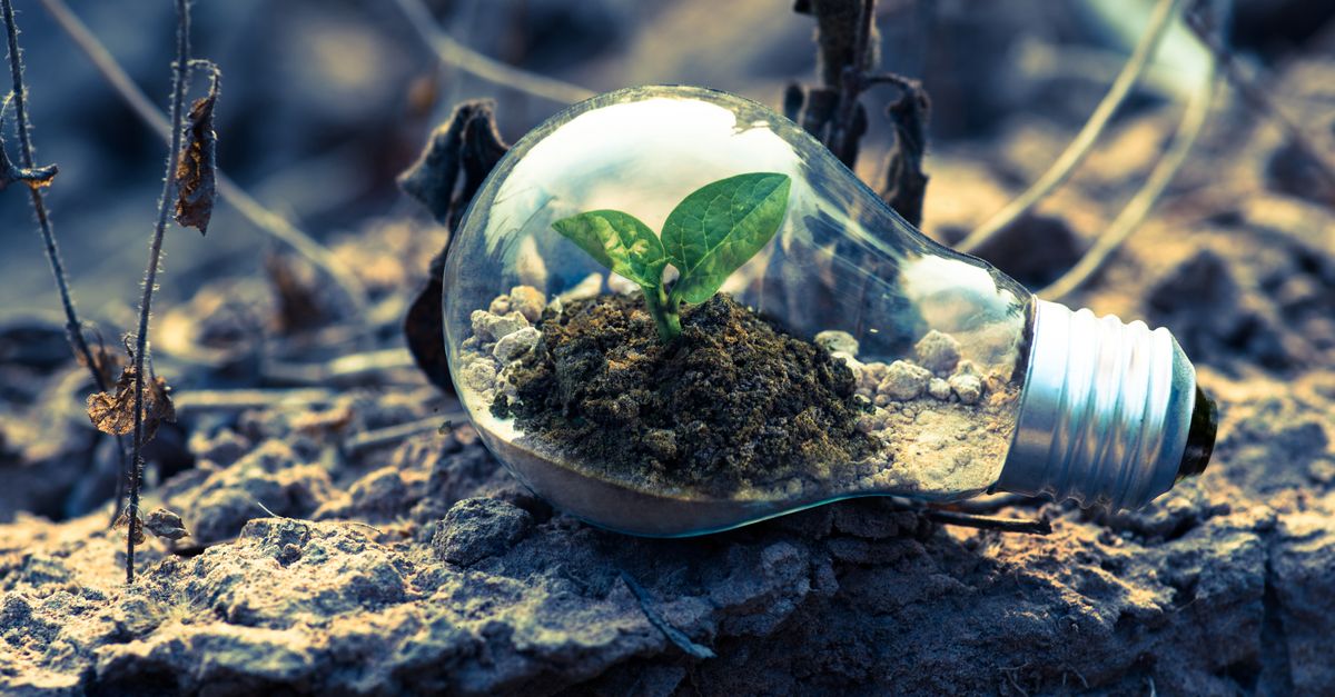 Terre.tv : La nouvelle Web TV entièrement dédiée au développement durable 2 découvrez les principes du développement durable, alliant croissance économique, protection de l'environnement et équité sociale pour un avenir responsable et équilibré.