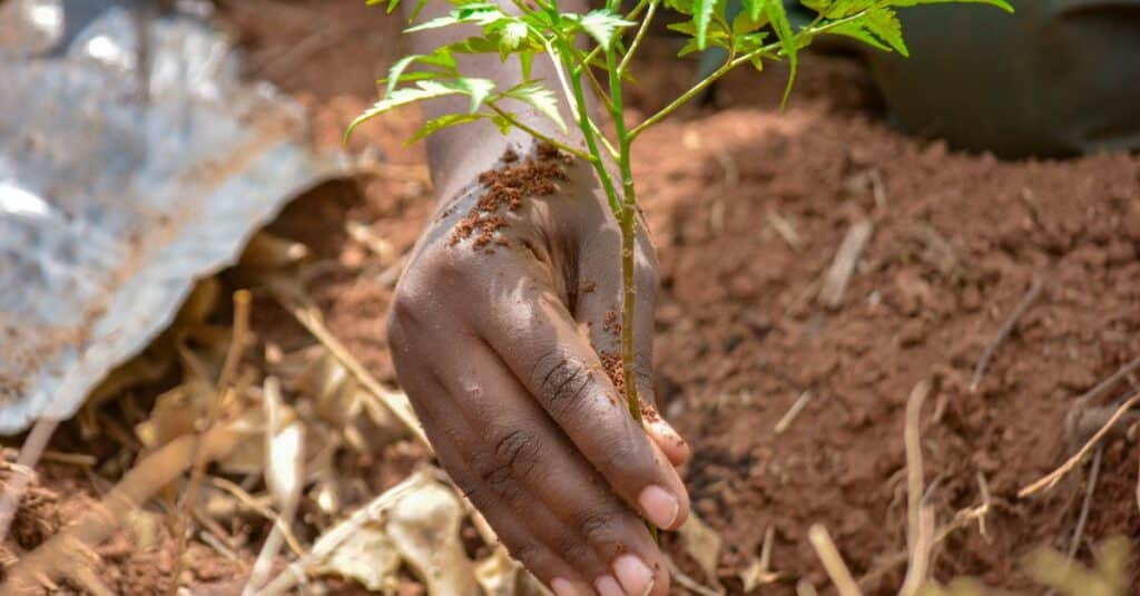 GNUDD : Le portail multilingue des Nations Unies pour promouvoir un développement durable et une communication cohérente 6 découvrez les principes du développement durable et explorez des solutions innovantes pour un avenir respectueux de l'environnement, économiquement viable et socialement équitable.