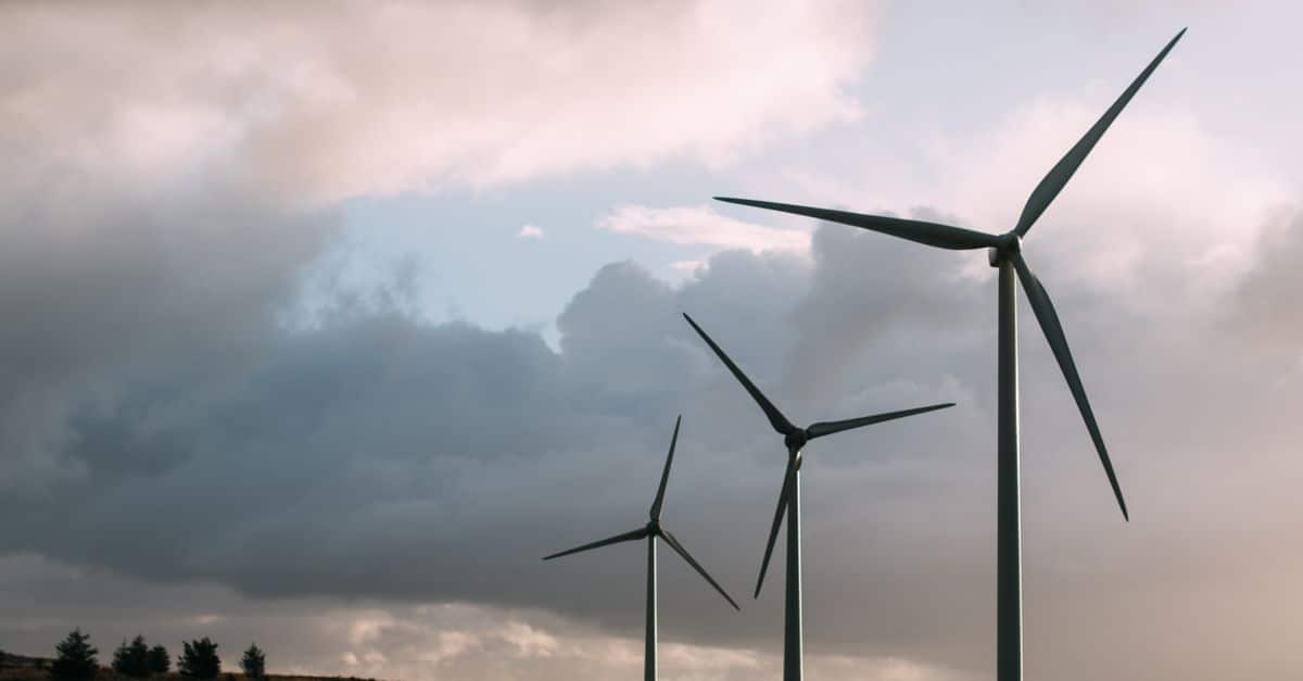 waica présente un nouveau site web consacré au développement durable 2 découvrez les principes du développement durable pour préserver les ressources naturelles, promouvoir l'équité sociale et encourager une croissance économique responsable.
