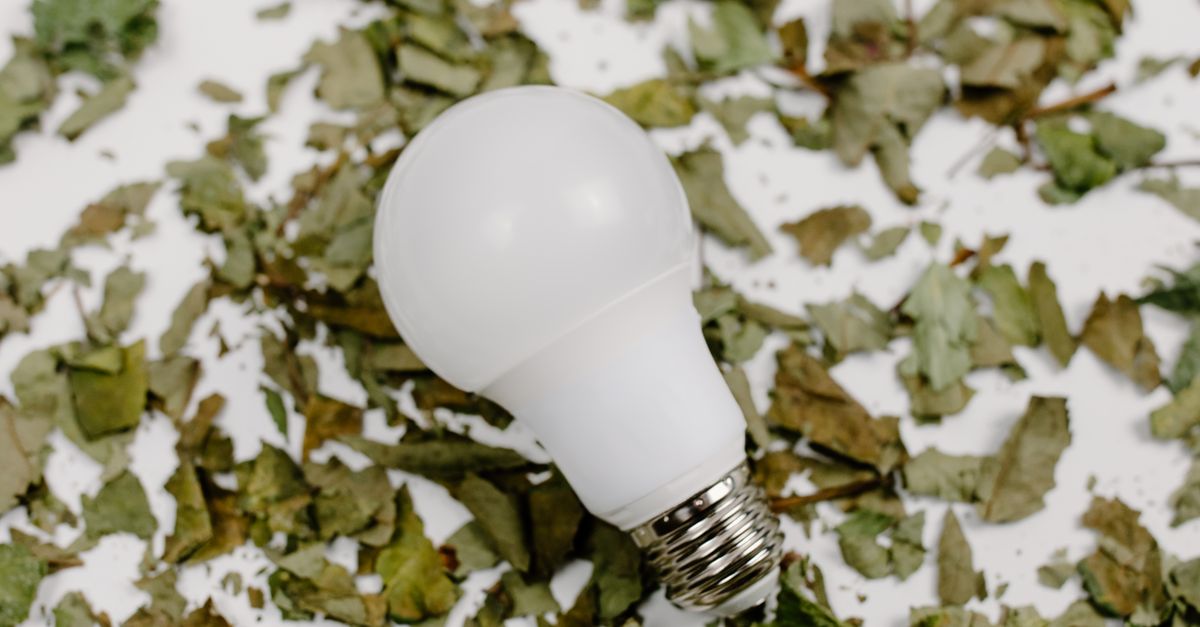 Lancement du site internet de MATERI'ACT : un carrefour entre innovation et écoresponsabilité 3 découvrez comment l'innovation durable transforme les industries en alliant progrès technologique et respect de l'environnement, pour un avenir responsable et durable.