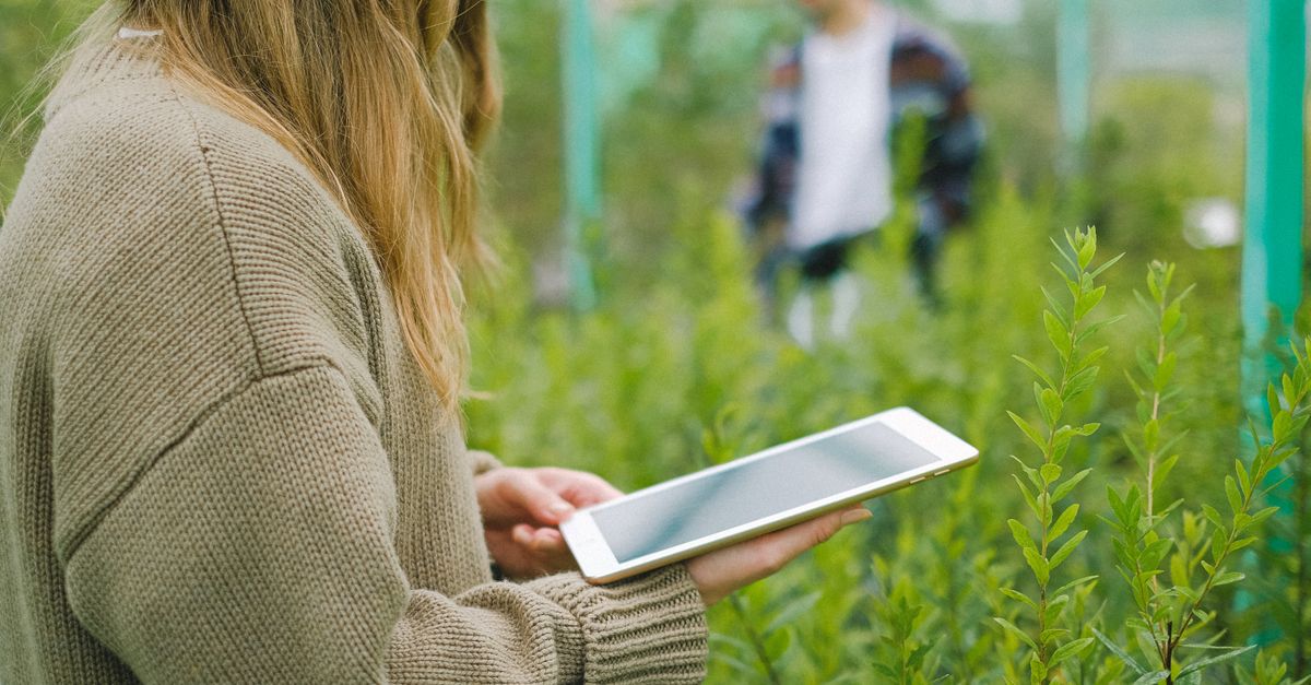 La technologie durable : enjeux et innovations pour un avenir éco-responsable 3 découvrez les dernières innovations en technologie durable pour un avenir respectueux de l'environnement et économiquement viable.