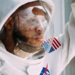 Apollo Has Fallen : Canal+ accélère le rythme avec une saison 2 intense et captivante