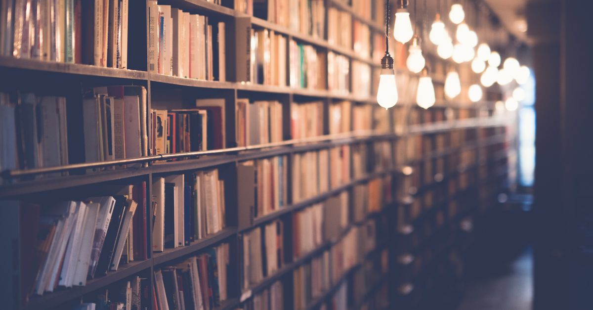 Google Book à 899 $ : une stratégie audacieuse face à l'envolée des prix des composants ? - ZDNET 5 découvrez la stratégie tarifaire de google books : analyse des prix, modèles d'affaires et conseils pour optimiser vos achats de livres numériques.