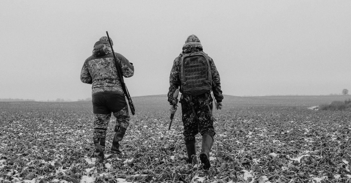 Jura : Découvrez « Chasse et Croisée », l’application innovante de géolocalisation des battues en temps réel 2 découvrez tout sur la chasse : conseils, techniques, réglementation et équipements pour une expérience réussie en pleine nature.