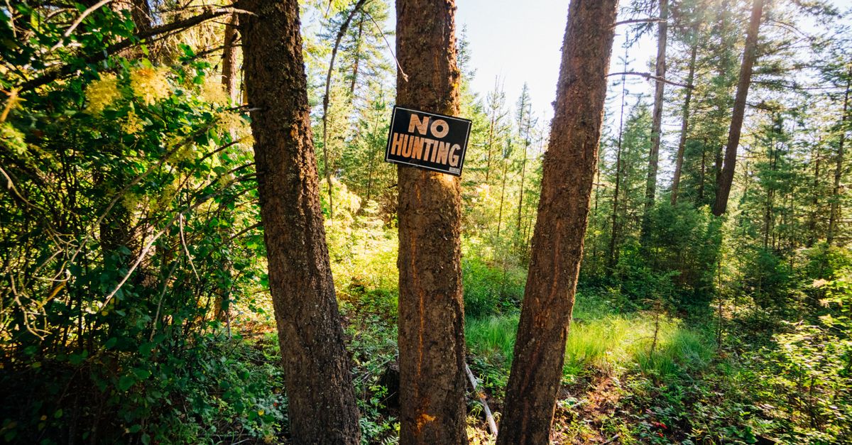 ProxiChasse : l'application innovante pour prévenir les accidents entre chasseurs et promeneurs 2 application de sécurité pour la chasse : restez informé et protégez-vous lors de vos sorties en pleine nature grâce à des outils de prévention et d'alerte efficaces.