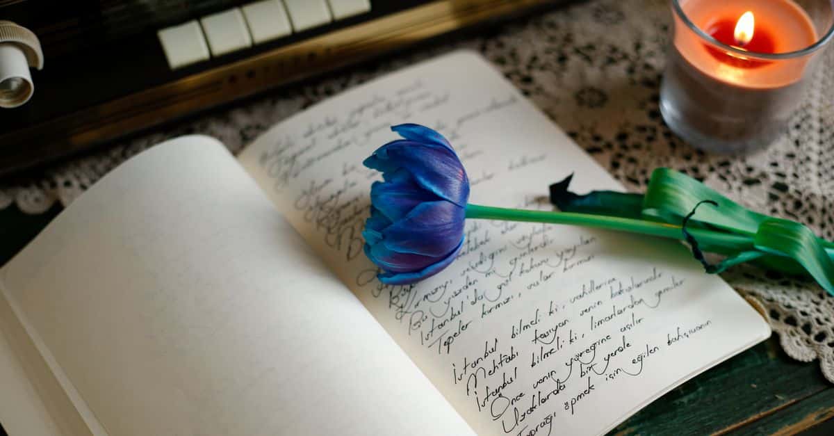Le Carnet de Colette Lallement-Duchoze : Les Chroniques du Club Mediapart 1 découvrez notre journal : actualités, analyses et informations essentielles pour rester informé au quotidien.