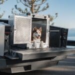 Cybertruck de Tesla : un nouveau défi réglementaire dès son lancement