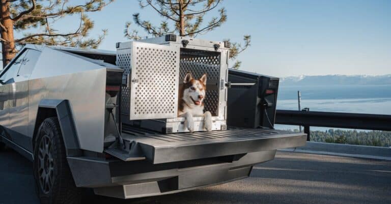 Cybertruck de Tesla : un nouveau défi réglementaire dès son lancement