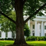 Trump cherche à exclure CNN et plusieurs autres médias de la Maison Blanche